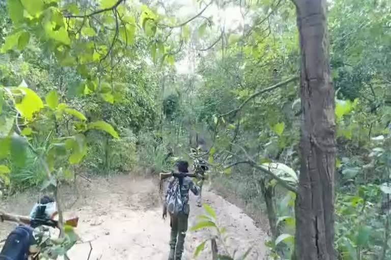 Gadchiroli Naxals Killed