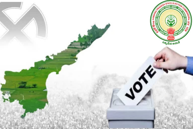 AP Local Body Elections