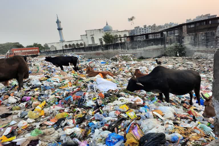 دہلی: شاہین باغ میں گندگی کے انبار، مقامی لوگ پریشان