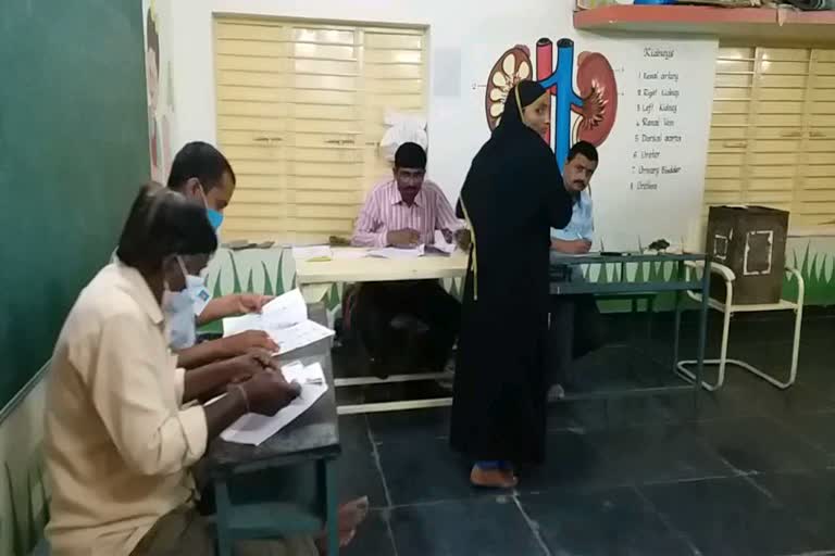 ap-local-body-elections-polling-started-at-7-am