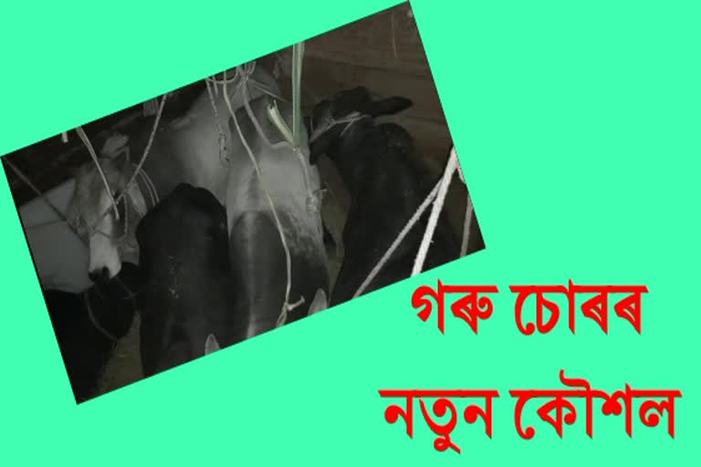 পশুধনৰ সৰবৰাহ