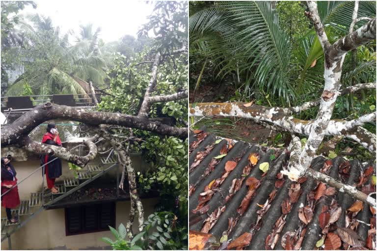 പത്തനംതിട്ട മഴ വാര്‍ത്ത  പത്തനംതിട്ട മഴ  പത്തനംതിട്ട അതീവ ജാഗ്രത നിർദേശം വാര്‍ത്ത  പത്തനംതിട്ട അതീവ ജാഗ്രത നിർദേശം  പത്തനംതിട്ട താഴ്ന്ന പ്രദേശം വാര്‍ത്ത  പത്തനംതിട്ട ജാഗ്രത നിർദേശം  പത്തനംതിട്ട ജാഗ്രത നിർദേശം വാര്‍ത്ത  പത്തനംതിട്ട കനത്ത മഴ വാര്‍ത്ത  പത്തനംതിട്ട കനത്ത മഴ  pathanamthitta heavy rain  pathanamthitta heavy rain news  heavy rain pathanamthitta  heavy rain pathanamthitta news  heavy rain lashes pathanamthitta  heavy rain lashes pathanamthitta news  low lying areas inundated  low lying areas inundated news  pathanamthitta low lying areas inundated  pathanamthitta low lying areas inundated news  pathanamthitta low lying areas  pathanamthitta low lying areas news