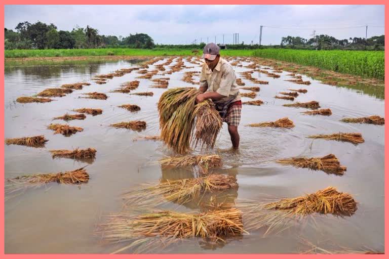 lakhs-of-agricultural-land-in-the-state-has-been-receded-in-the-last-four-years