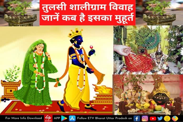 Tulsi Vivah 2021 Puja Vidhi, Muhurat: कब है तुलसी विवाह, जानिए पूजा विधि, मंत्र, मुहूर्त