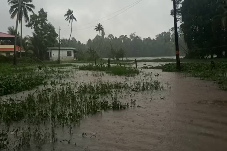 Alappuzha Rain update  Alappuzha rain news  Alappuzha flood news  Alappuzha flood latest news  Alappuzha rain update latest news  Rain update Alappuzha  ആലപ്പുഴയില്‍ മഴ മുന്നറിയിപ്പ്  ആലപ്പുഴയില്‍ മഴ  ആലപ്പുഴയില്‍ ജലനിരപ്പ് ഉയരുന്നു  ആലപ്പുഴ വാര്‍ത്ത  അതീവ ജാഗ്രതാ നിർദ്ദേശം  മഴ മുന്നറയിപ്പ്