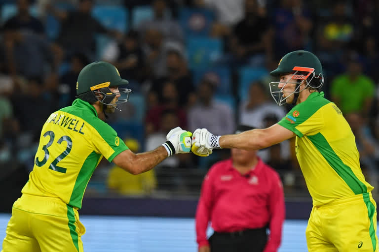 Australia beat New zealand by 8 wickets and won the T20I  world cup