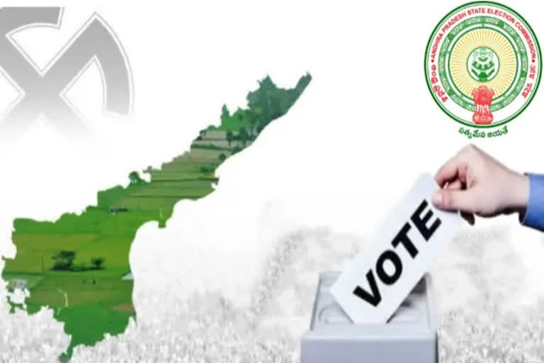 AP Local Body Elections