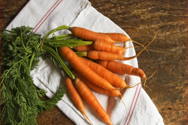 CARROTS INCREASE HEALTH AND BEAUTY