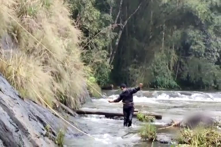 carcass of cow  cow  carcass  panniyar river  പന്നിയാർ പുഴ  പശുവിന്‍റെ ജഡം  പശു  നെടുംകണ്ടം ഫയർ ഫോഴ്‌സ്  Nedunkandam Fire Force