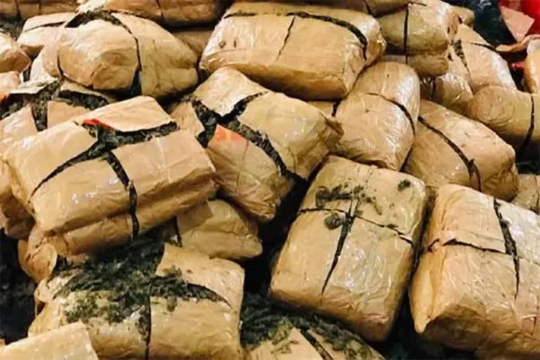 one-ton-of-ganja-was-smuggled-through-e-commerce-company-smuggling-was-done-by-tagging-kadi-patta