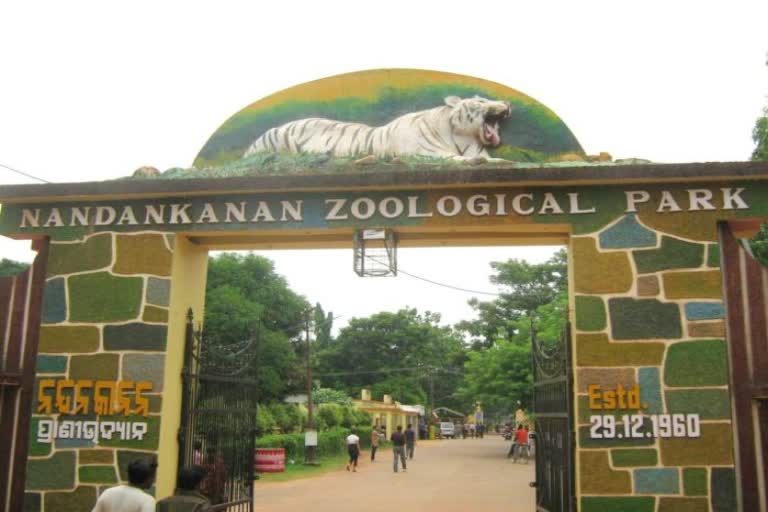 Nandankanan