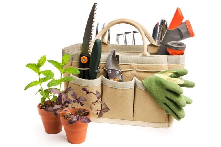 gardening,  plants,  home garden,  gardening tips, how to begin with gardening, basic things to buy for gardening, beginners guide to gardening, tools used for gardening, what are the tools used for gardening, basic gardening tools, how to take care of gardening tools