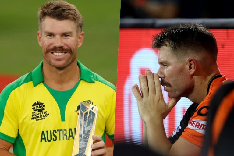 Brad Haddin  David Warner  SunRisers Hyderabad  T20 world  ipl  ഐപിഎല്‍  ടി20 ലോകകപ്പ്  ഡേവിഡ് വാര്‍ണര്‍  സണ്‍റൈസേഴ്‌സ്‌ ഹൈദരാബാദ്  ടി20 ലോകകപ്പ്