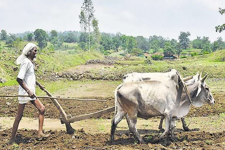 Haryana government new scheme