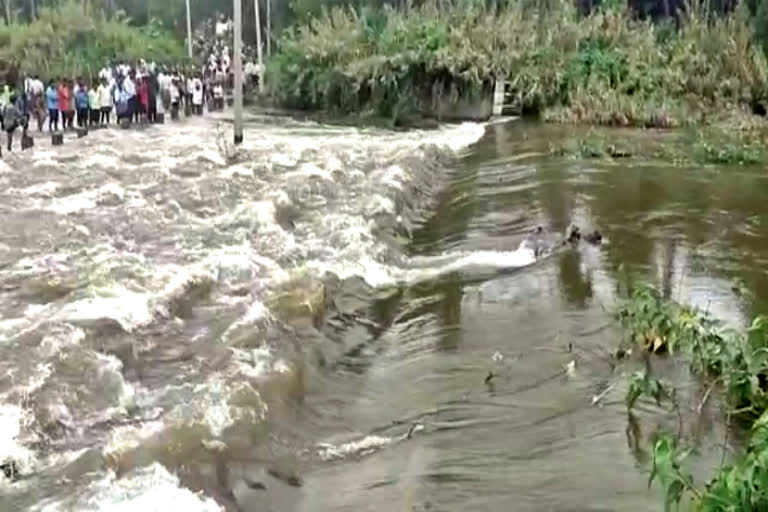 dead-bodies-found-in-kanwa-river