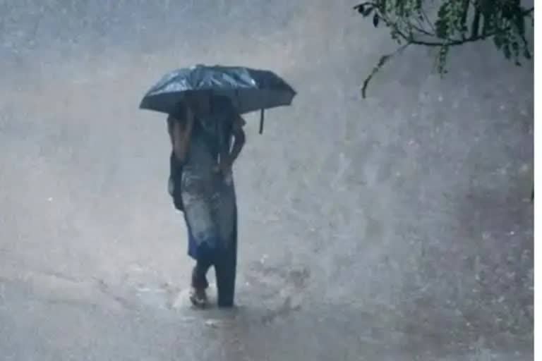 Heavy Rain kerala  yellow alert announces in kerala  rain updates kerala  kerala rain news  yellow alert kerala  കേരളത്തില്‍ മഴയ്‌ക്ക് സാധ്യത  കേരള മഴ  കേരളത്തില്‍ യെല്ലോ അലര്‍ട്ട് പ്രഖ്യാപിച്ചു  മഴ updates