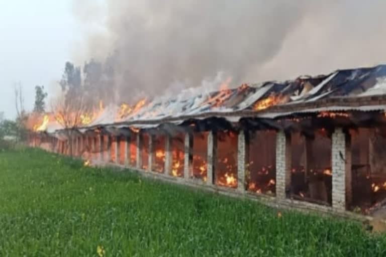 doiwala  poultry farm fire