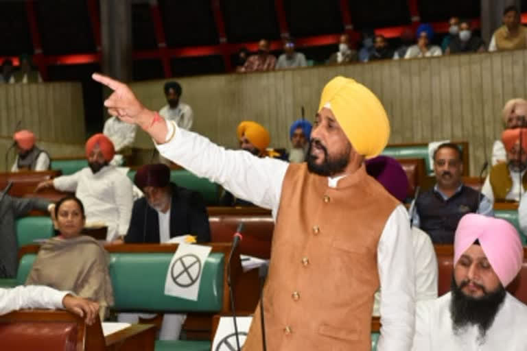 Compensation of Rs 17,000 per acre to cotton farmers: Channi