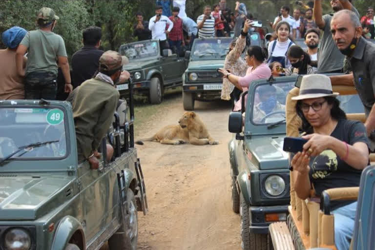 arat : A Photo violating of the Wildlife Ac