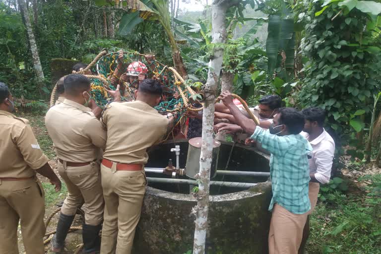 Suicide Attempt  Suicide Attempt pathanapuram  mother try to suicide in pathanapuram  mother try to suicide news  infant dies news  infant dies in pathanapuram  ആത്മഹത്യ ശ്രമം വാർത്ത  ആത്മഹത്യ വാർത്ത  കുഞ്ഞ് മരിച്ചു  അമ്മയും കുഞ്ഞും ആത്മഹത്യ ശ്രമം  latest news  kerala news  Suicide Attempt news  Suicide Attempt pathanapuram news  infant dies  infant dies in pathanapuram news  ആത്മഹത്യ ശ്രമം  ആത്മഹത്യ  അമ്മയും കുഞ്ഞും ആത്മഹത്യ ശ്രമം വാർത്ത