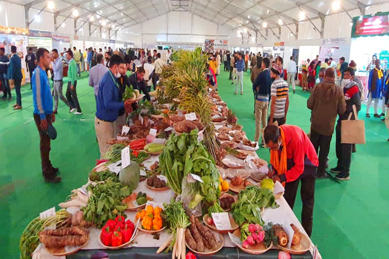 international spices and vegetables festival