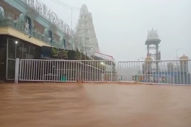 tirumala rains