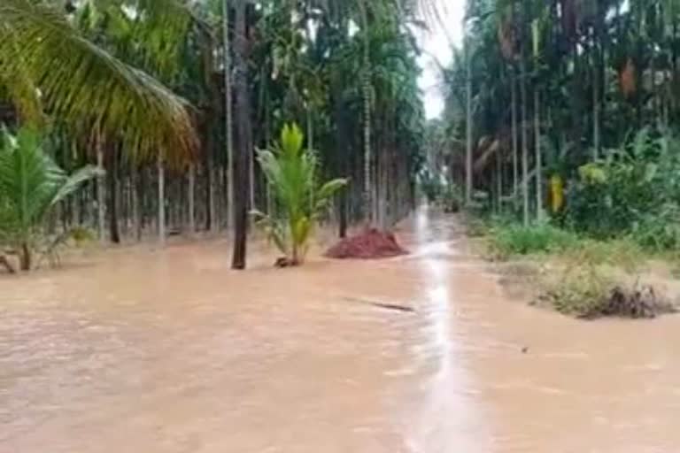 heavy rain in tumkur