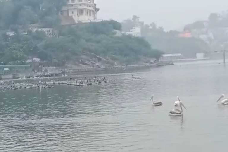 Aanasagar lake beauty,  आनासागर झील बनी पिकनिक स्पॉट