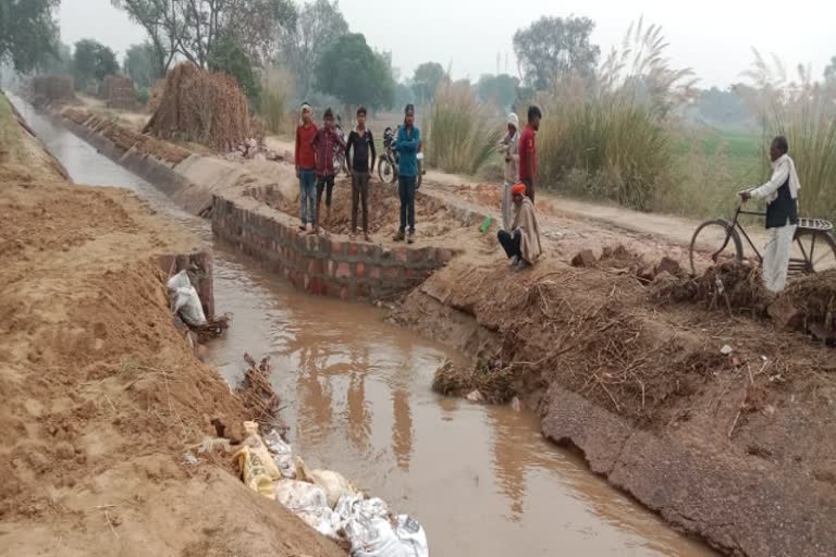 Crops submerged in Dholpur, Dholpur news