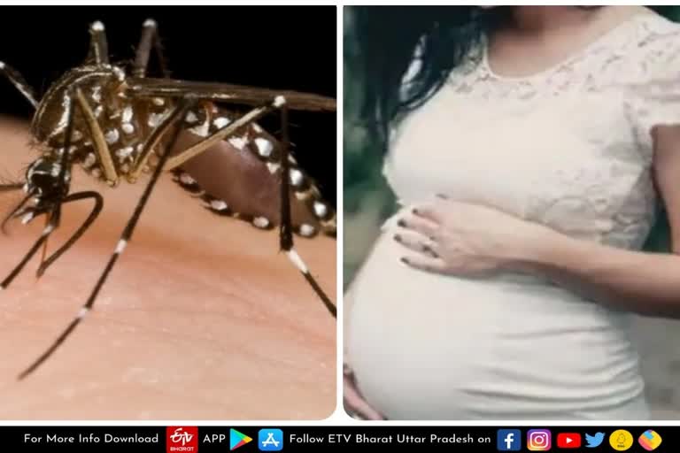 Zika virus