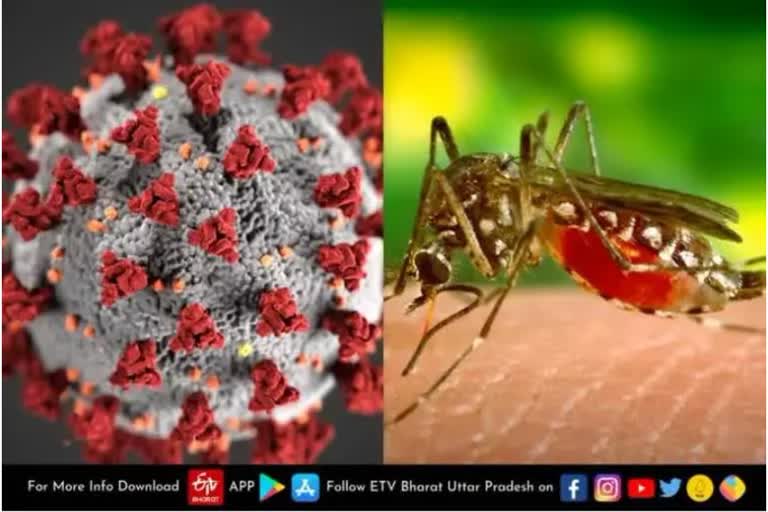 डेंगू से 27 लोग प्रभावित