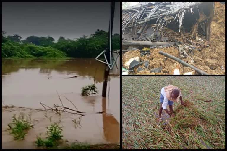 Heavy Rainfall in Haveri district