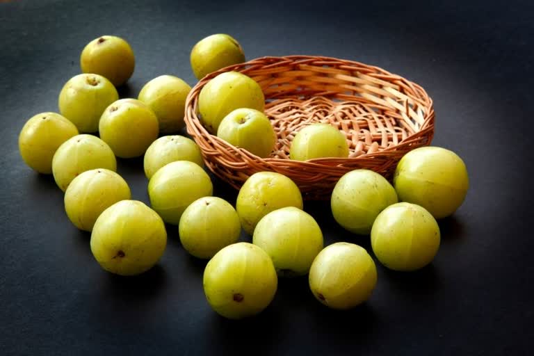 benefits of amla, amla nutition, amla juice, amla side effects, amla powder benefits weight loss, benefits of eating amla for skin, side effects of amla on hair, amla benefits and side effects, amla vitamin C, how is amla good for health, what are the benefits of amla, benefits of eating amla everyday,  प्रतिदिन आंवला खाने के फायदे, आंवला