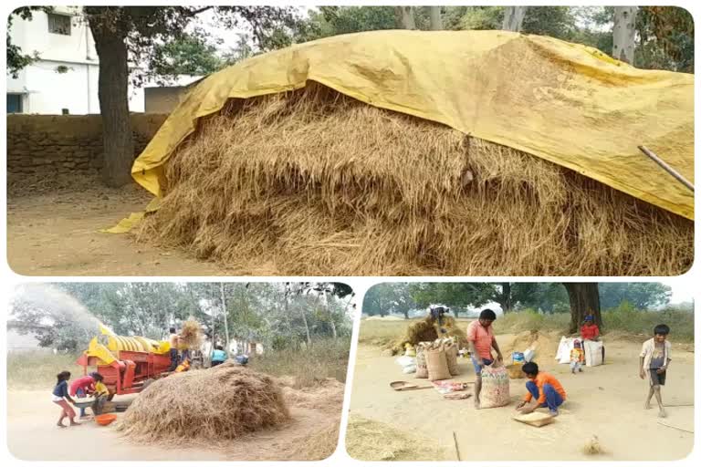 Shahdol Farmers