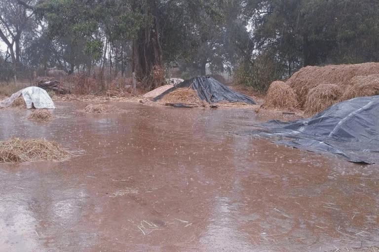 10 lives lost their live in unseasonal rain in karnataka