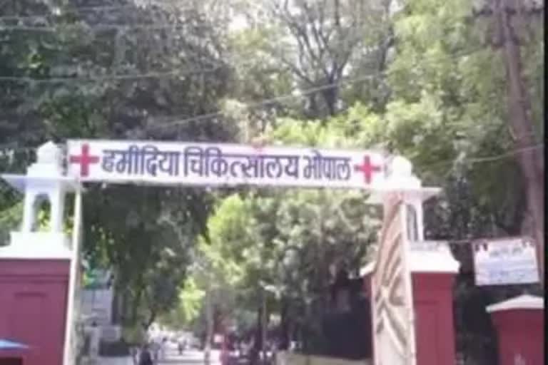 Hamidia Hospital