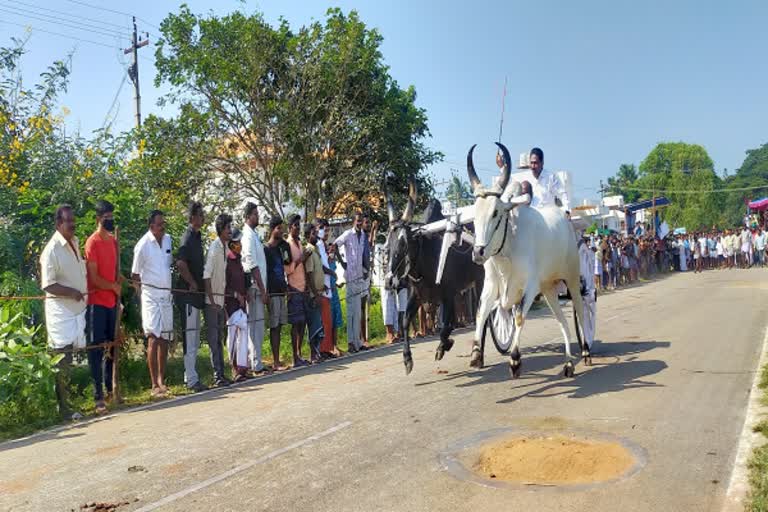 பொள்ளாச்சியில் நடைபெற்ற ரேக்ளா ரேஸ் தொடர்பான காணொலி