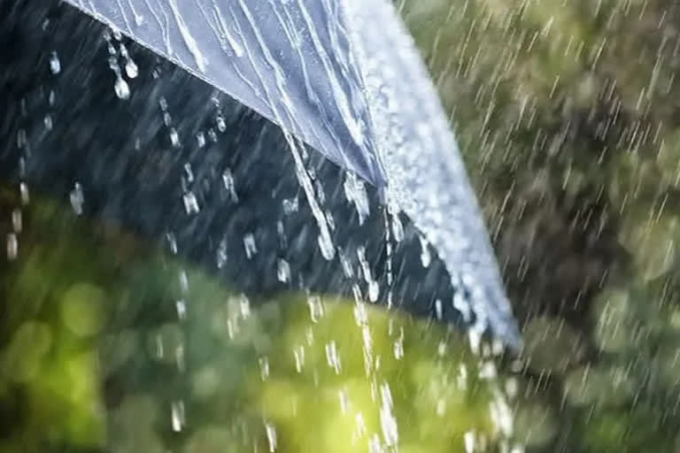 rain