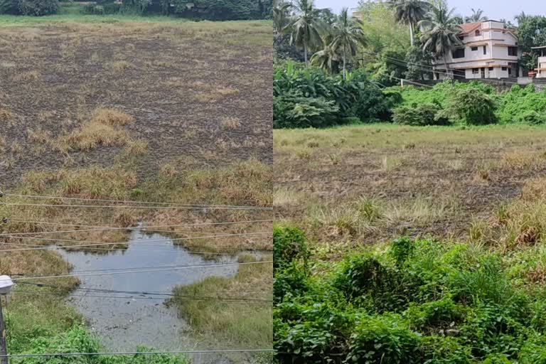 Thrikkumarakudam Pond thrissur  kochin dewaswom board  former minister Adv. V.S Sunil Kumar  തൃക്കുമാരകുടം കുളം  തൃക്കുമാരകുടം കുളം നശിക്കുന്നു  കൊച്ചിൻ ദേവസ്വം ബോർഡ്  അഡ്വ.വി.എസ് സുനിൽ കുമാർ  കുളം നവീകരണം  Pond renovation