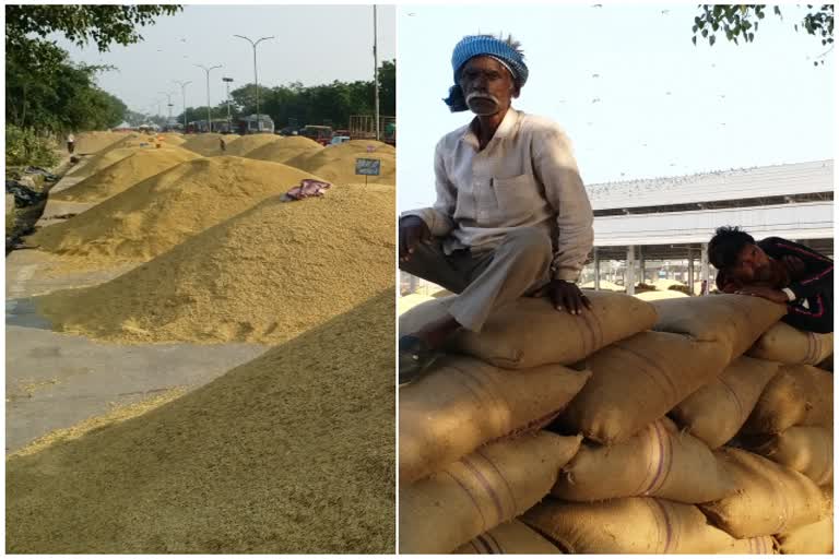 किसान परेशान,  मंडी में हड़ताल , Kota Mandi , farmer problem