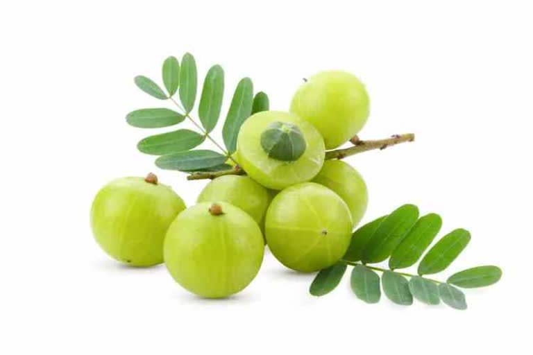 Amla: A Treasure Of Nutritional Properties