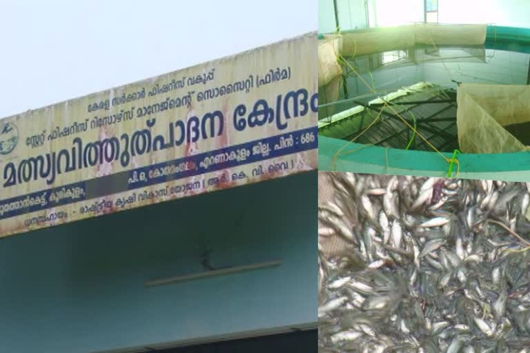 Fish Seed Production Center  Keerampara panchayath  feedmill  Hatchery  കൂരികുളം മത്സ്യ വിത്തുത്പാദന കേന്ദ്രം  കീരംപാറ പഞ്ചായത്ത്  ഹാച്ചറി  ഫീഡ്‌മില്ല്