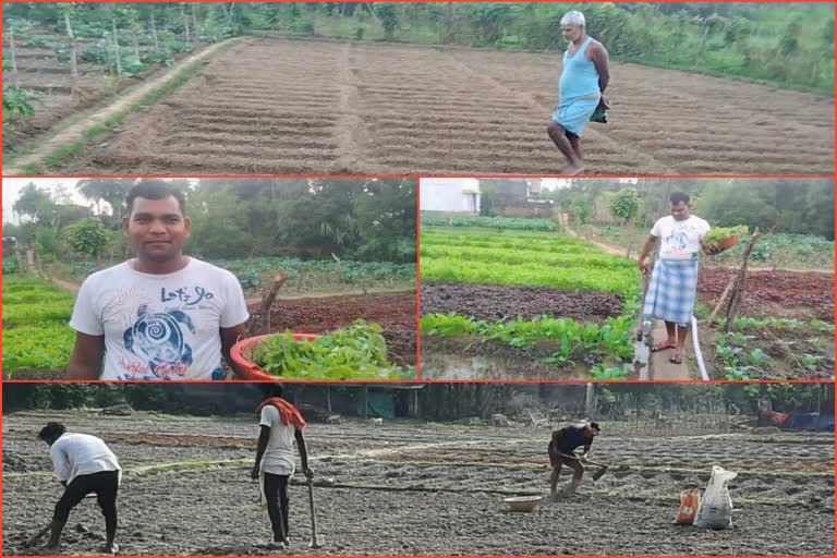 Good Potato Cultivation