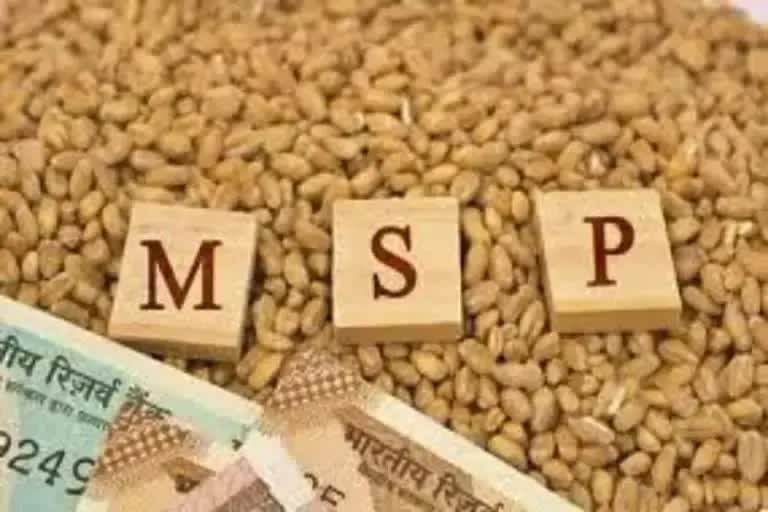 જો MSP પર કાયદો બનશે તો, ભારતીય અર્થતંત્ર પર સંકટ