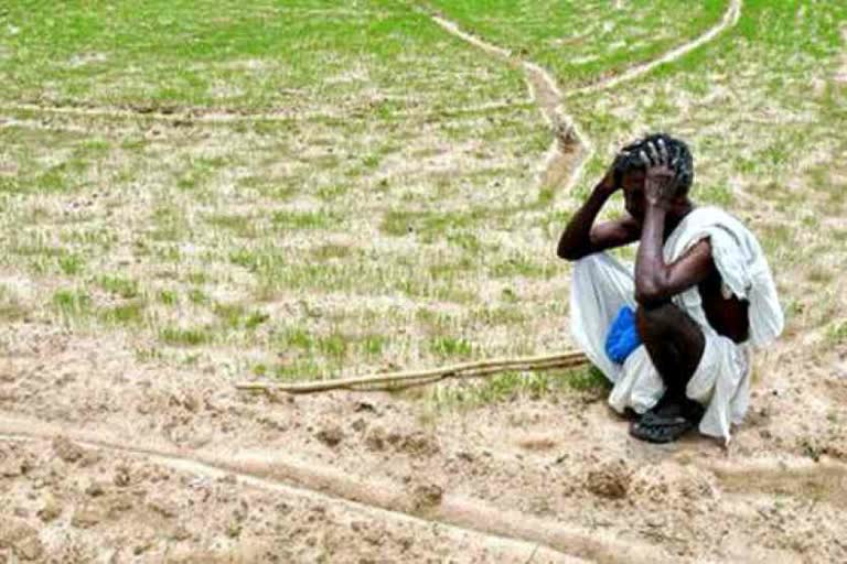 drought situation in mp