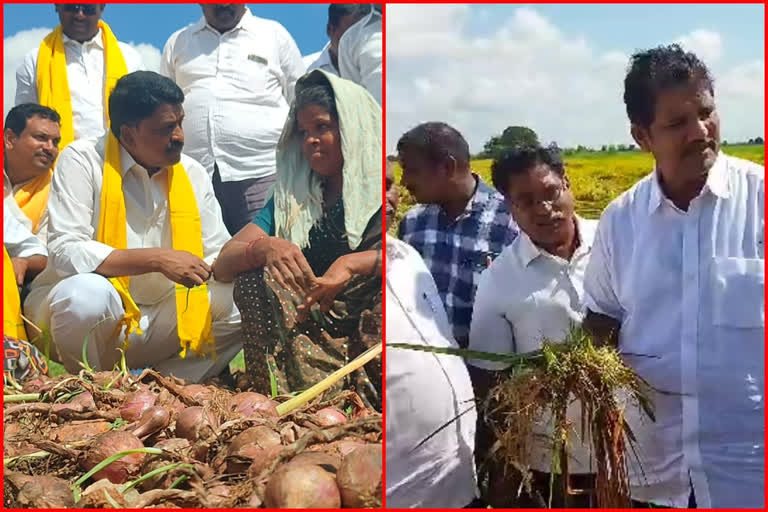 Tdp leaders demands govt to help  flood affected farmers