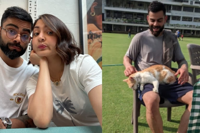 In Pics: Anushka aside, look Kohli pampering newfound cat