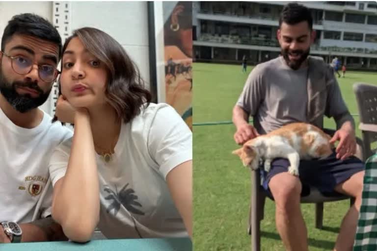 Kohli, Anushka engage in fun chat as cat visits India batter at traKohli, Anushka engage in fun chat as cat visits India batter at trainingining