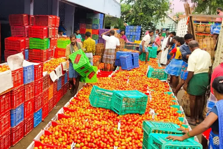 Tomato Price Hits up to Rs 140/kg in Koyambedu market