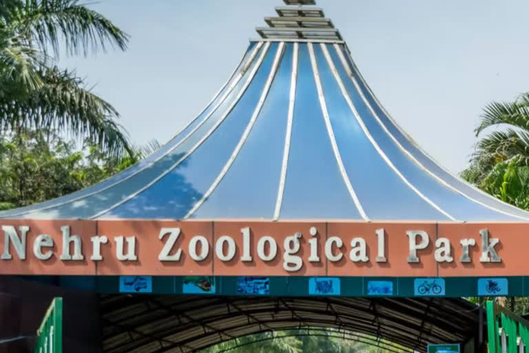 Nehru Zoological Park